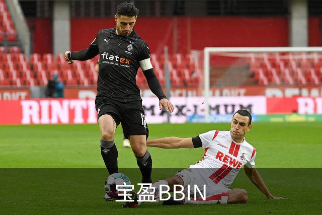 宝盈BBIN公司介绍图